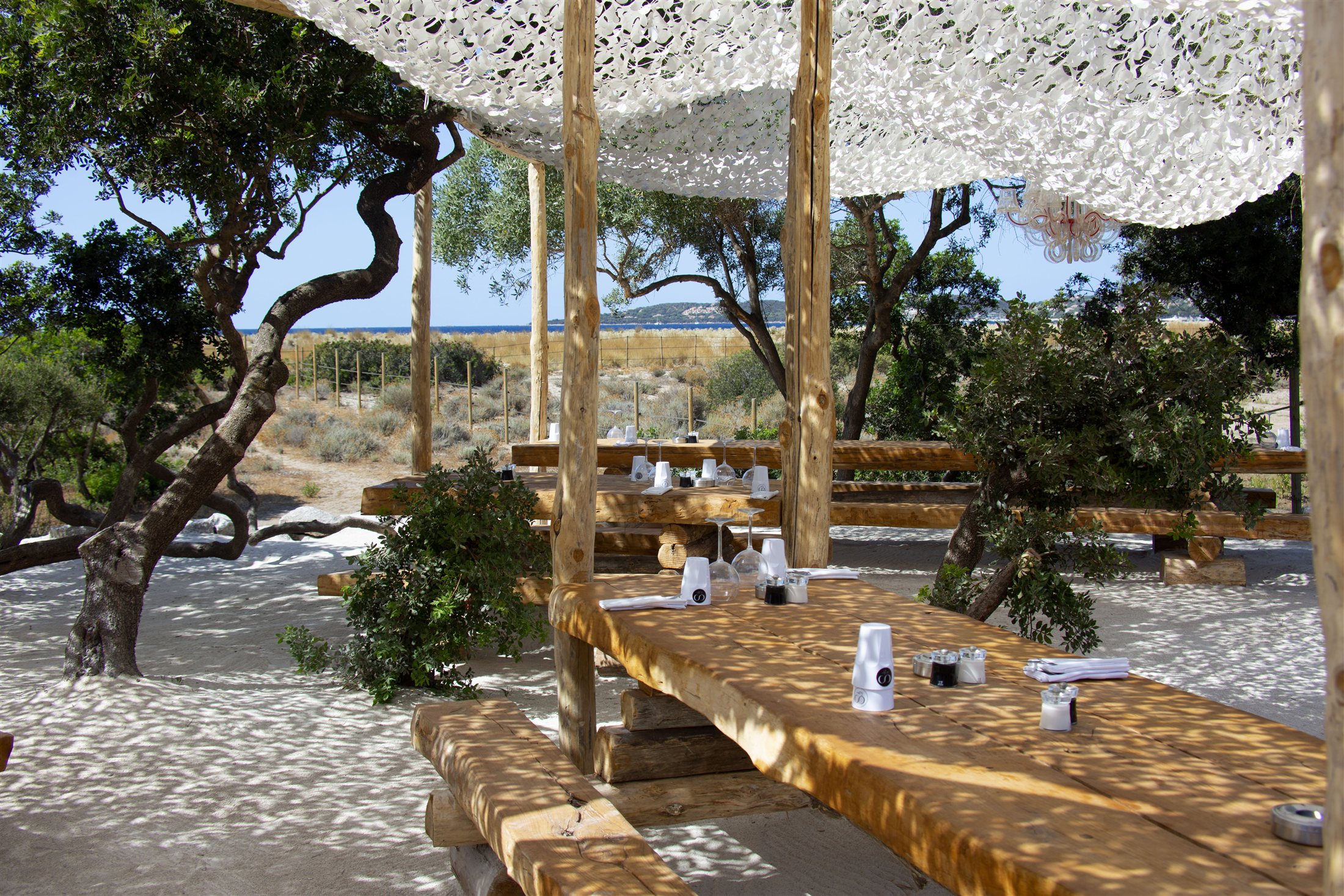 La plage du golfe — tables en bois sous les oliviers, face à la mer